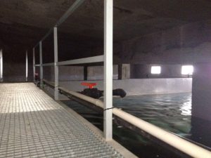 Depósito de Agua El Vallejo