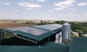 istalacion fotovoltaica en granja de griñon